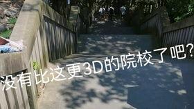 哈三的梦在线观看,在线观看，探索奇幻梦境之旅  第2张